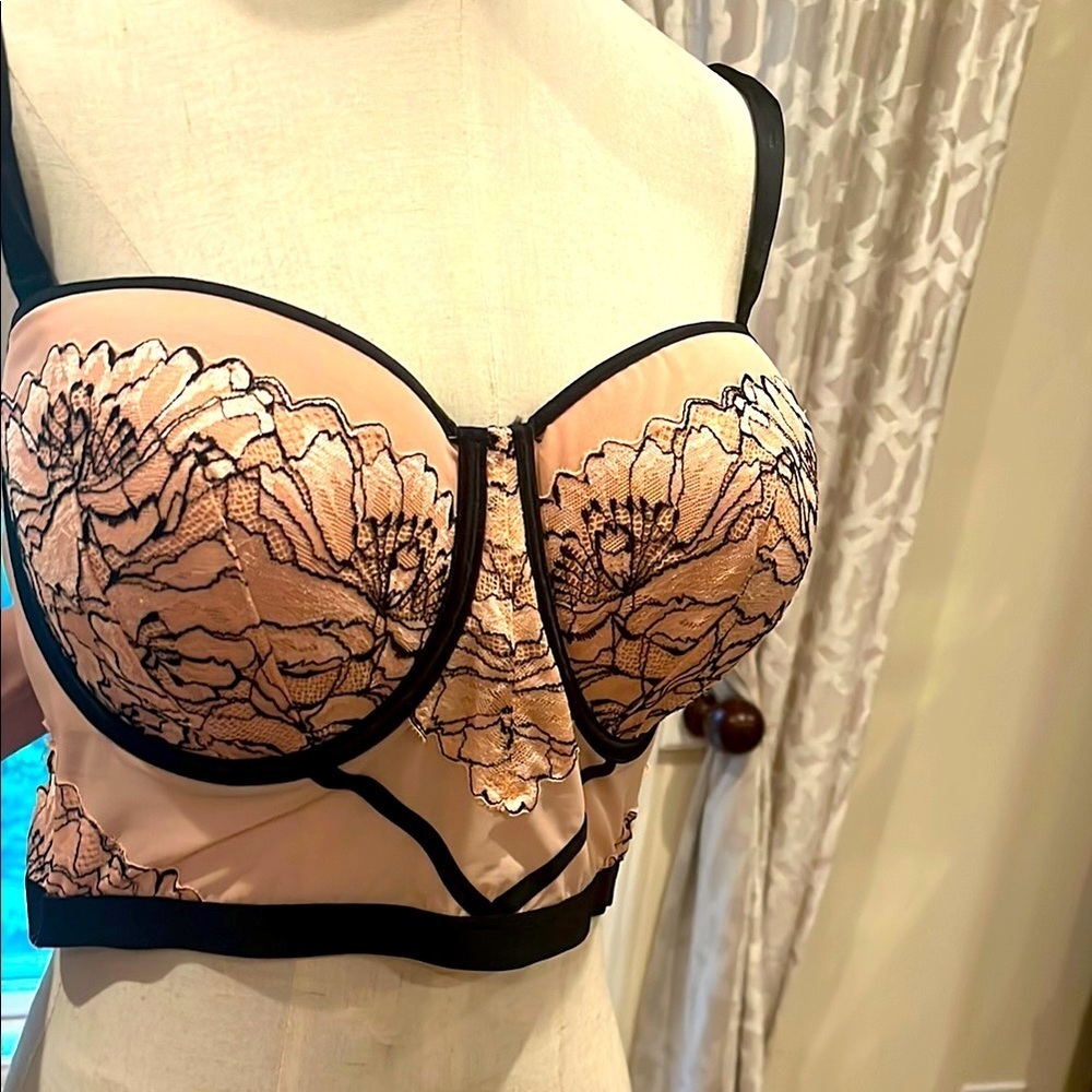 Auden L Elegant Black and Cream Lace Bustier